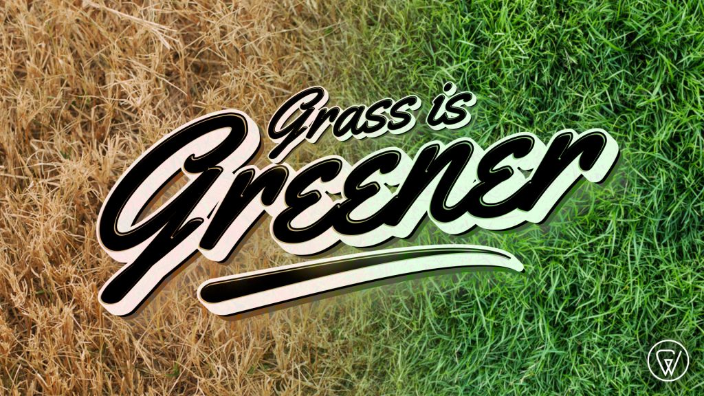 C3 || Grass is Greener part 3